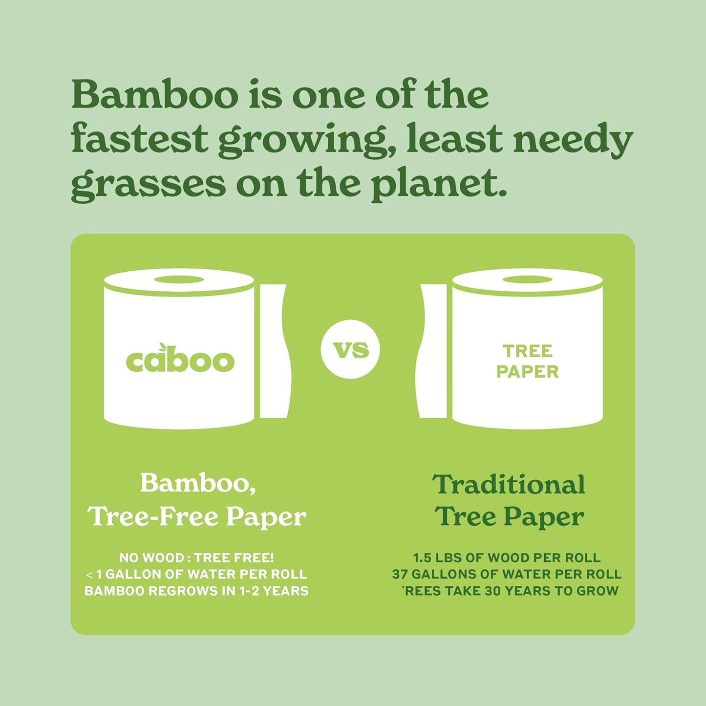 CABOO Flushable Wipes
