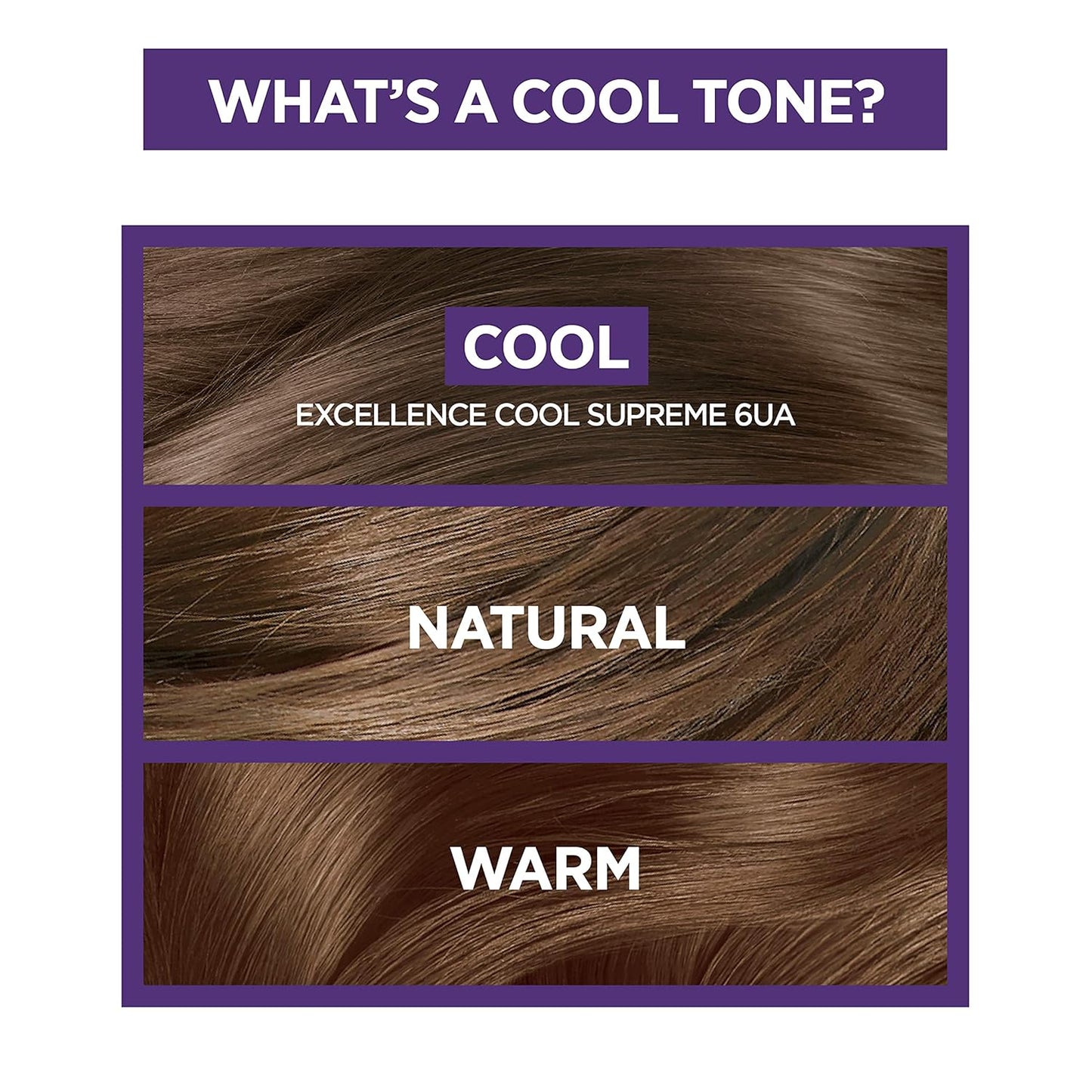 L'OREAL Excellence Cool Supreme Permanent Gray Coverage Hair Color