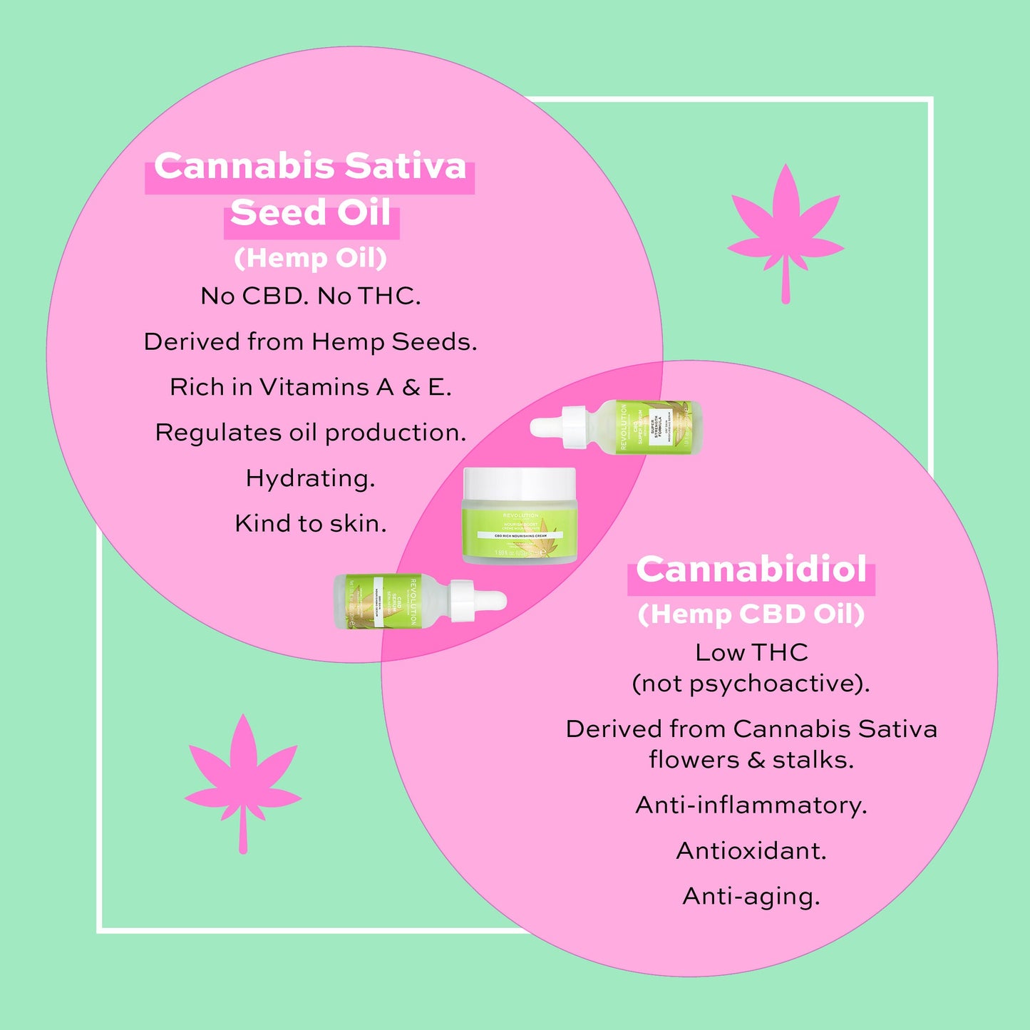 REVOLUTION CBD Rich Nourishing Cream