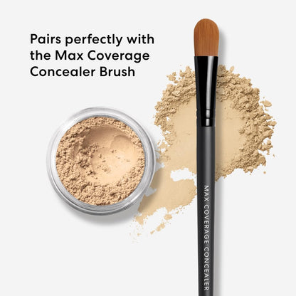 bareMinerals Well Rested Under Eye Brightener