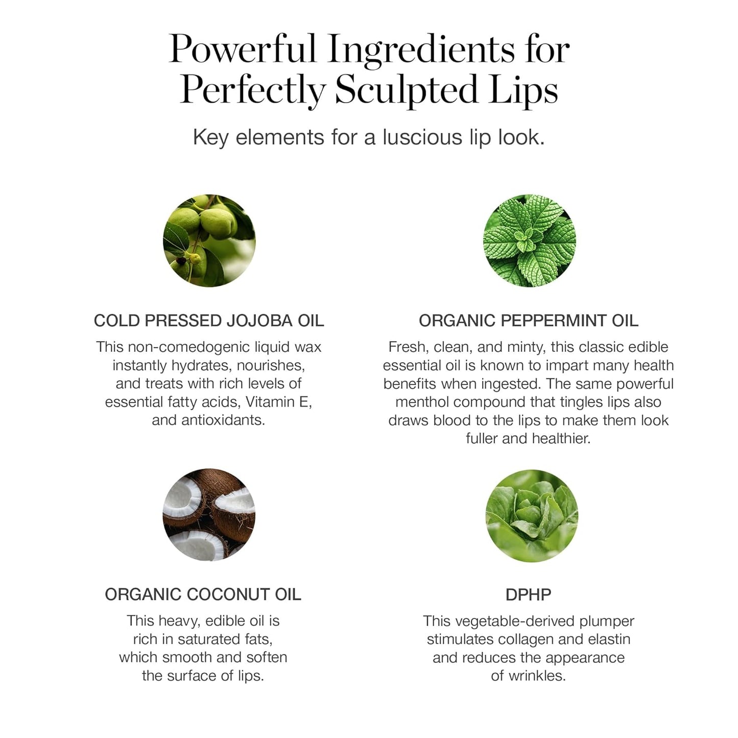 OGEE Tinted Sculpted Lip Oil