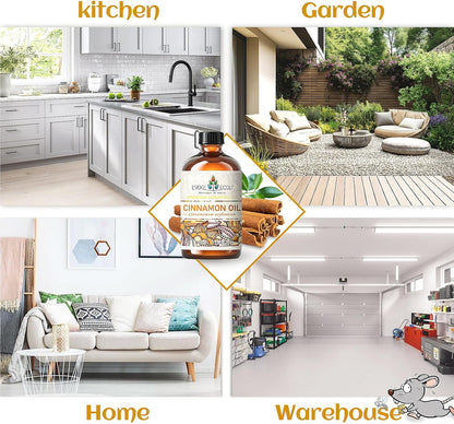 EVOKE OCCU Essential Oil