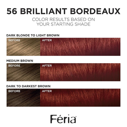 Feria Multi-Faceted Shimmering Permanent Hair