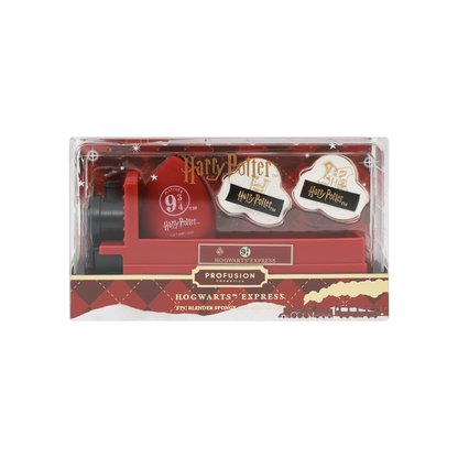 Harry Potter Holiday | Hogwarts™ Express Sponge Set