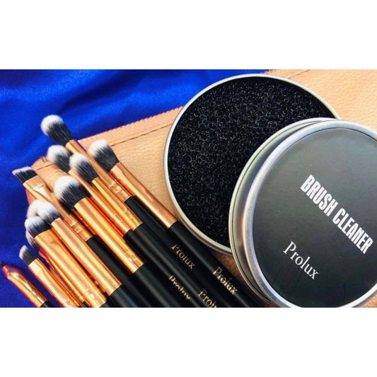 Deluxe 12 Piece Eye Makeup Brush Set